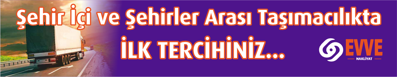 Ankara Ordu asansörlü nakliye